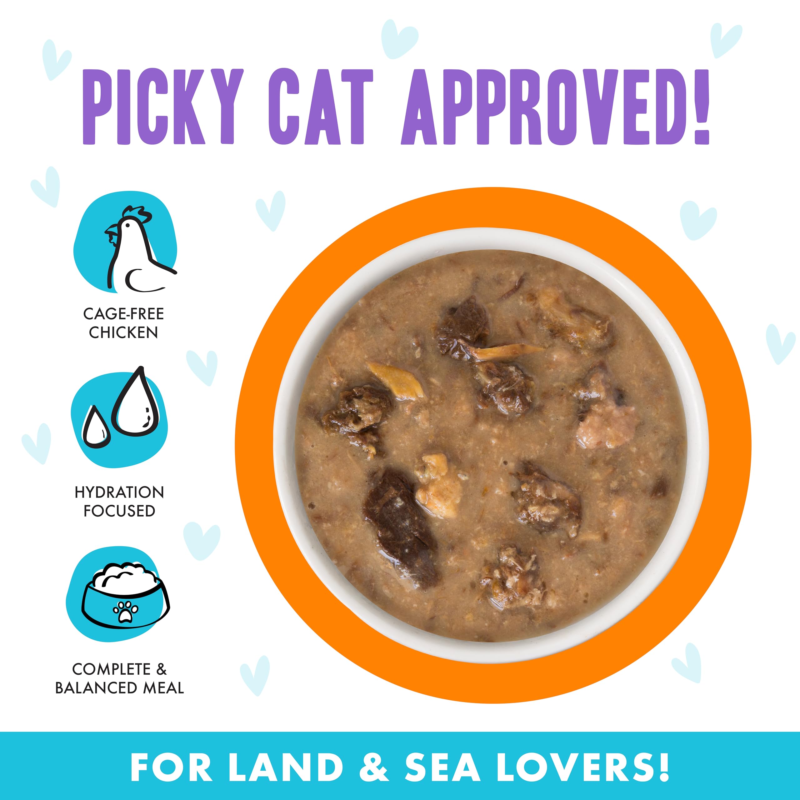Amazon.com: Weruva B.F.F. OMG - Best Feline Friend Oh My Gravy